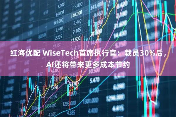 红海优配 WiseTech首席执行官：裁员30%后，AI还将带来更多成本节约