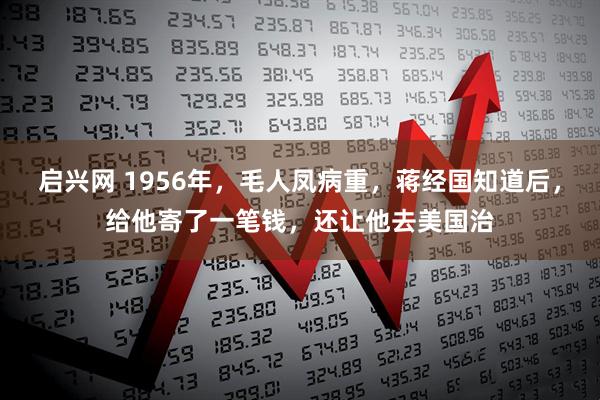 启兴网 1956年，毛人凤病重，蒋经国知道后，给他寄了一笔钱，还让他去美国治
