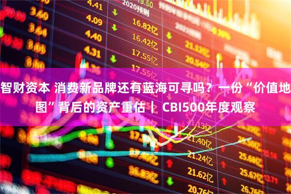 智财资本 消费新品牌还有蓝海可寻吗？一份“价值地图”背后的资产重估｜ CBI500年度观察