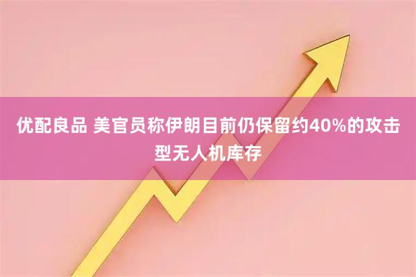 优配良品 美官员称伊朗目前仍保留约40%的攻击型无人机库存