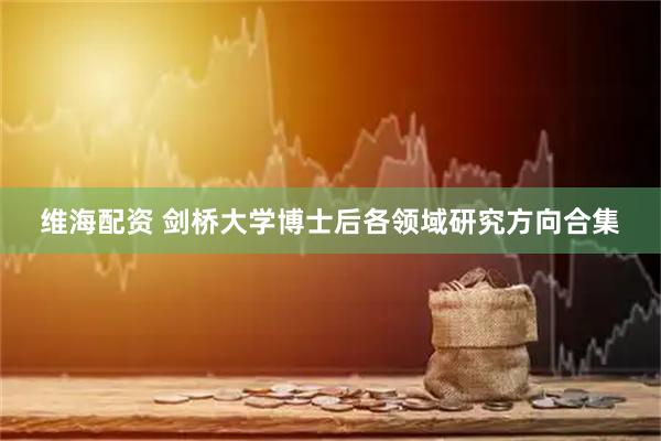 维海配资 剑桥大学博士后各领域研究方向合集