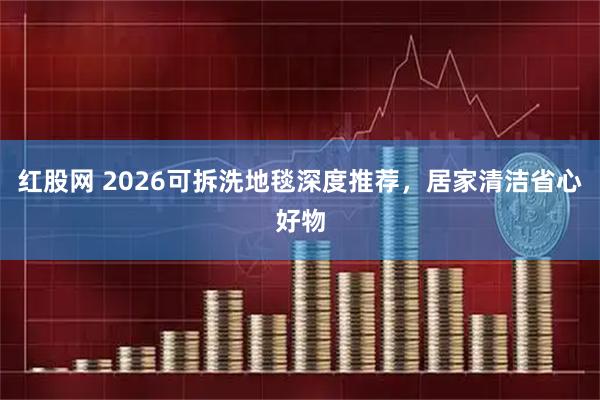 红股网 2026可拆洗地毯深度推荐，居家清洁省心好物
