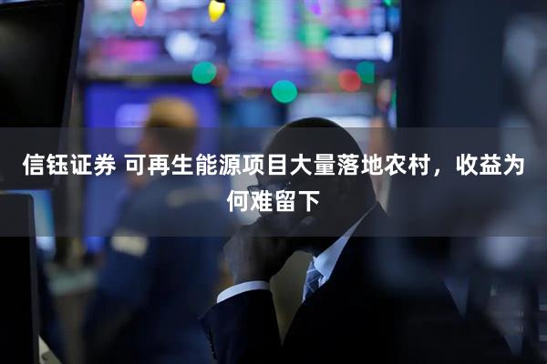 信钰证券 可再生能源项目大量落地农村，收益为何难留下