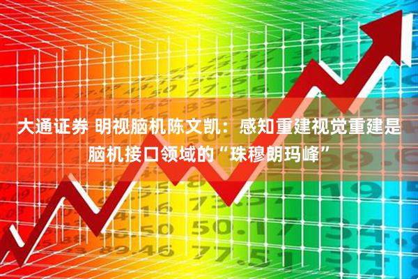 大通证券 明视脑机陈文凯：感知重建视觉重建是脑机接口领域的“珠穆朗玛峰”