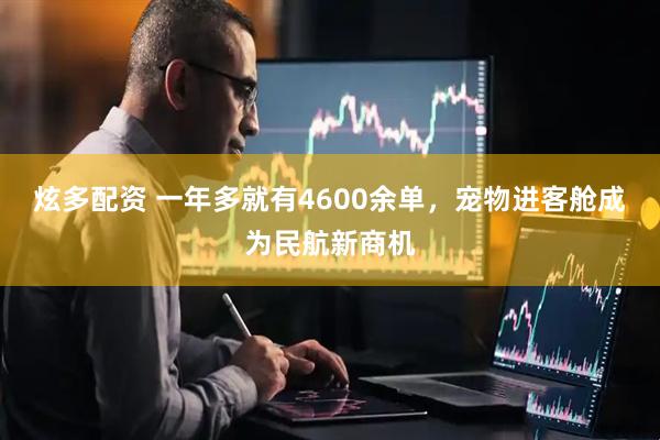 炫多配资 一年多就有4600余单，宠物进客舱成为民航新商机