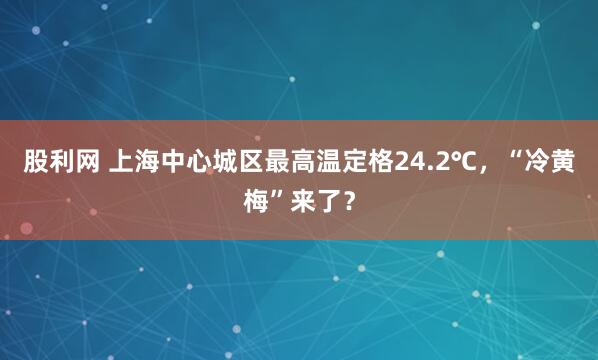 股利网 上海中心城区最高温定格24.2℃，“冷黄梅”来了？