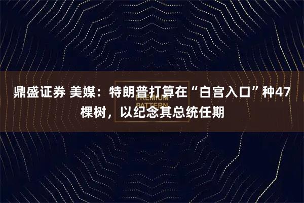 鼎盛证券 美媒：特朗普打算在“白宫入口”种47棵树，以纪念其总统任期