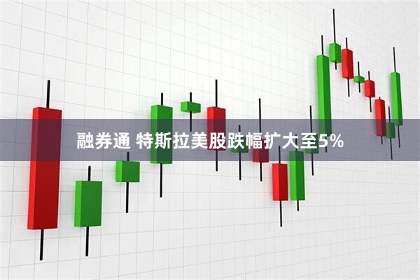 融券通 特斯拉美股跌幅扩大至5%