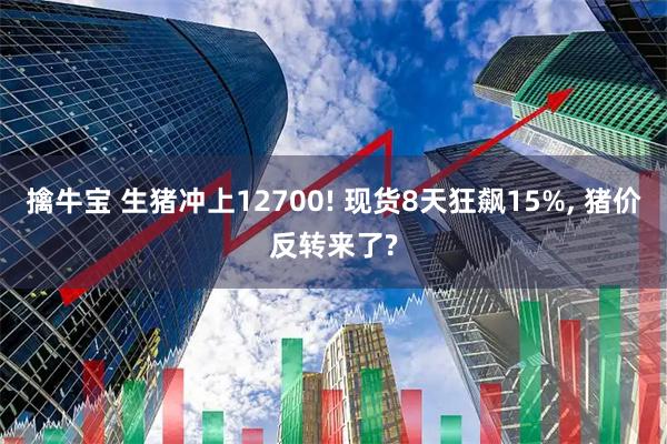 擒牛宝 生猪冲上12700! 现货8天狂飙15%, 猪价反转来了?
