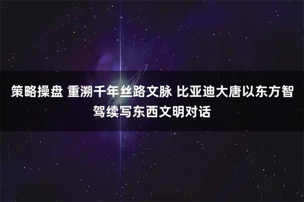 策略操盘 重溯千年丝路文脉 比亚迪大唐以东方智驾续写东西文明对话
