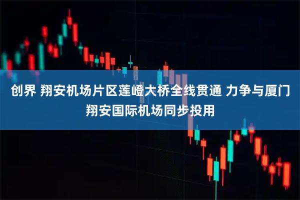 创界 翔安机场片区莲嶝大桥全线贯通 力争与厦门翔安国际机场同步投用